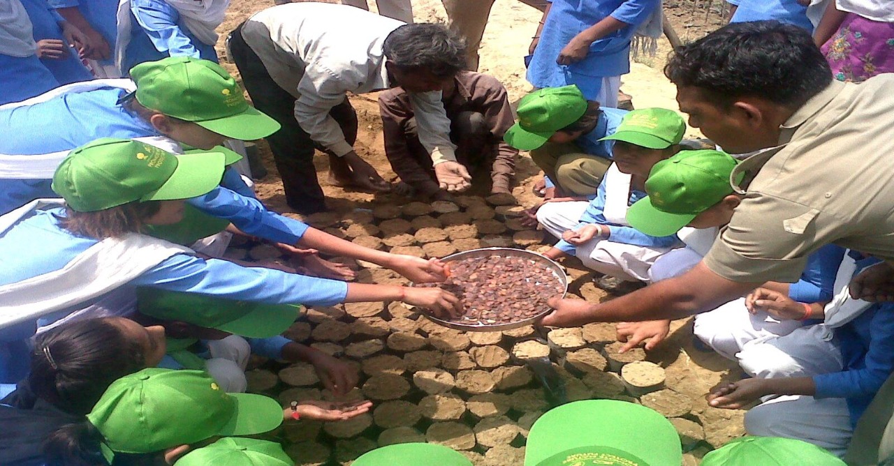 FUTURE WILL BRIGHTEN UP HOW SEEDS WE WILL SOW NOW