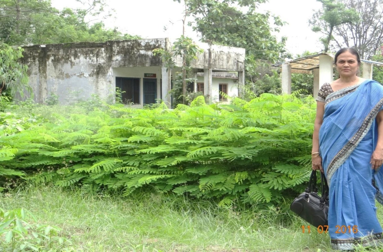 SAPLINGS PRODUCTIOIN