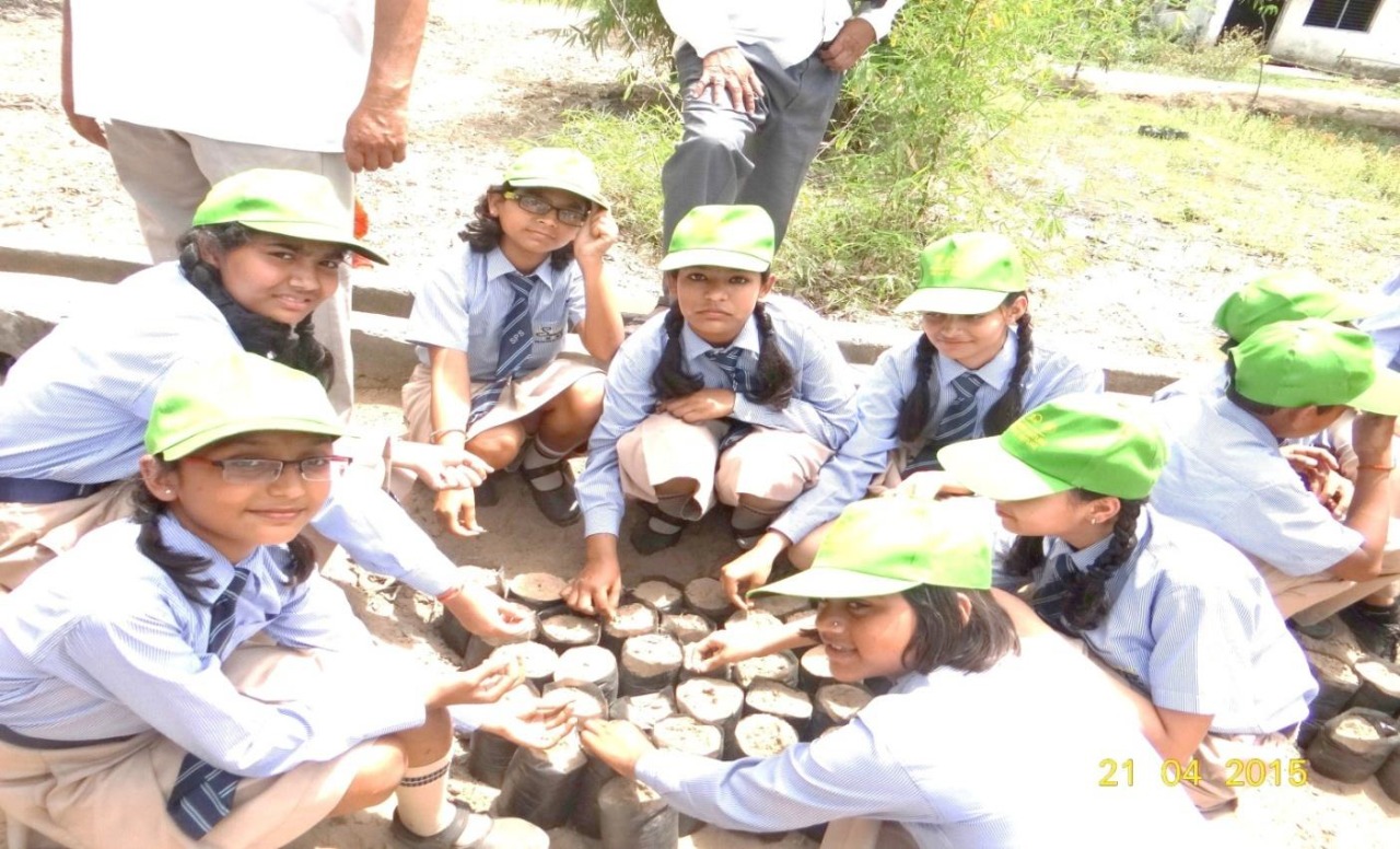 SHE SOWED HAPPILY SINGS PRODUCED MANY SAPLINGS