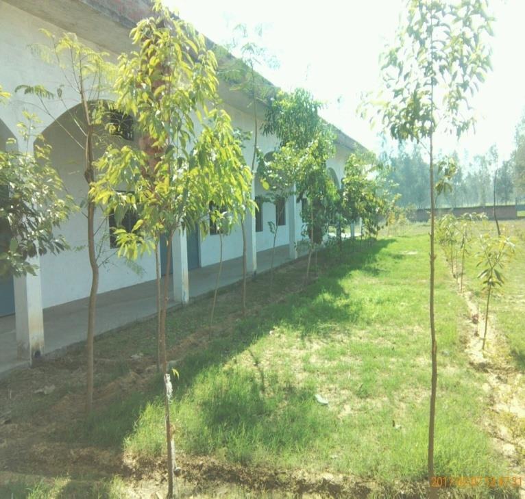 HMJ INTER COLLEGE Karanpur, Bilar Block